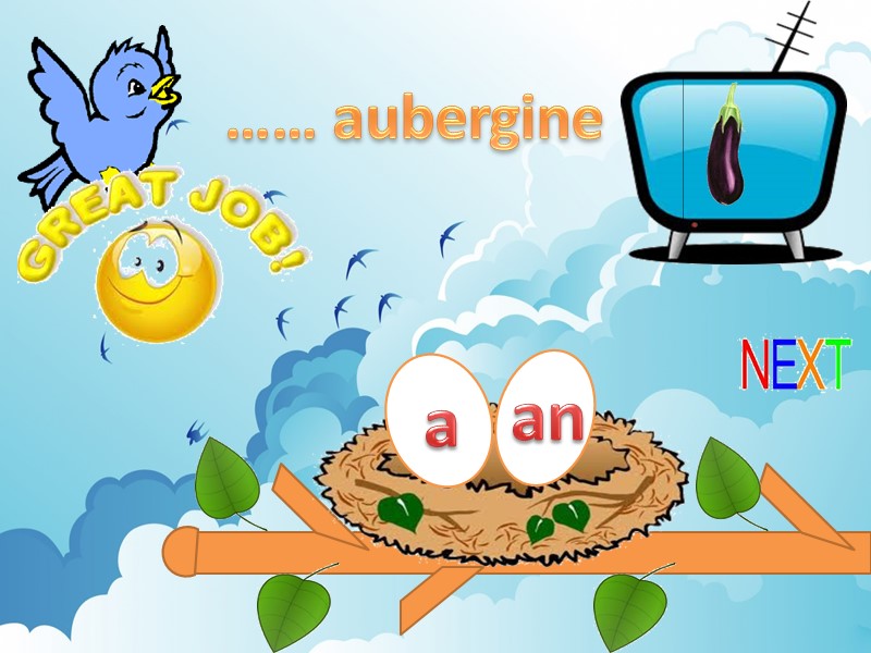 an a …… aubergine